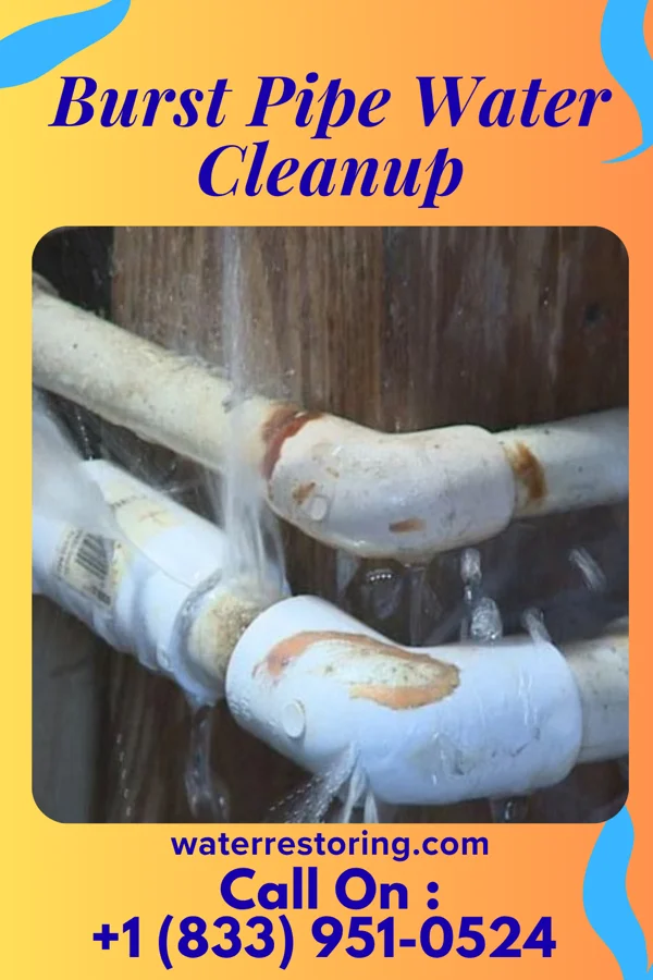 Burst Pipe Water Cleanup in New Market, PA
