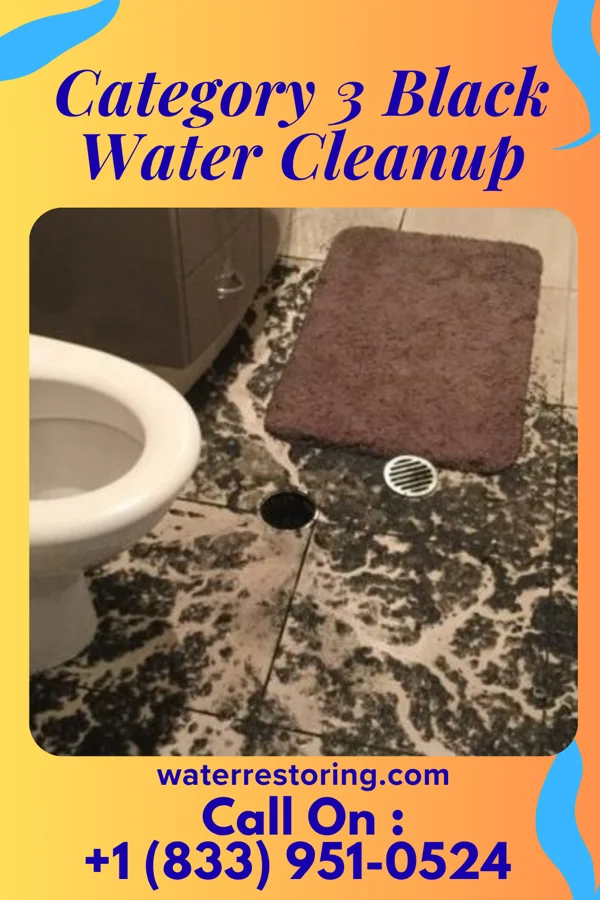 Category 3 Black Water Cleanup in New Market, PA