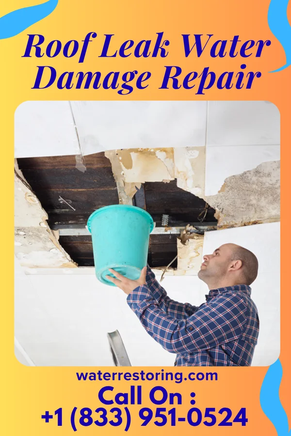 Roof Leak Water Damage Repair in New Market, PA