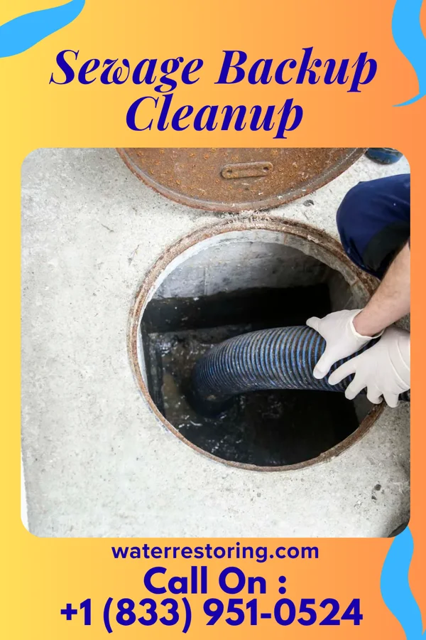 Sewage Backup Cleanup in New Market, PA
