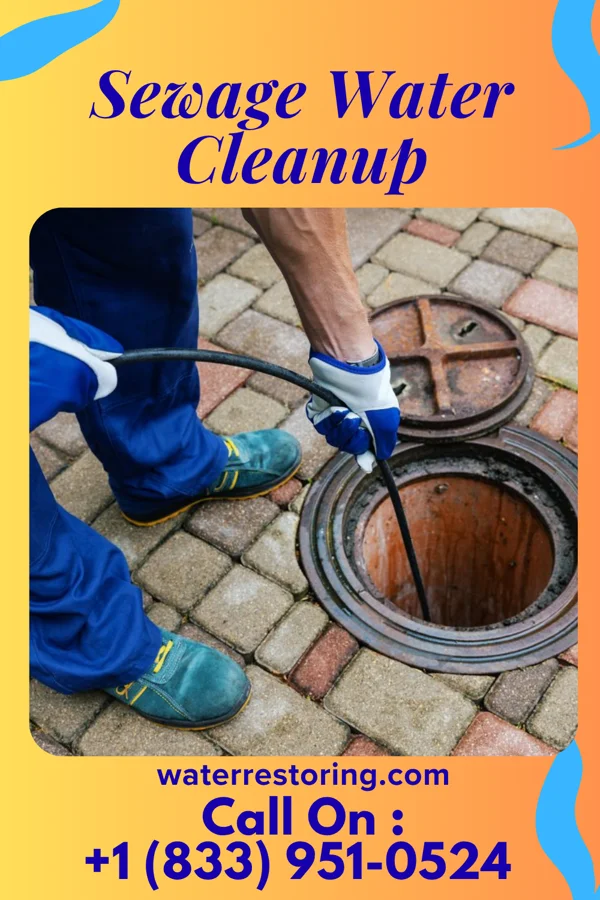 Sewage Water Cleanup in New Market, PA