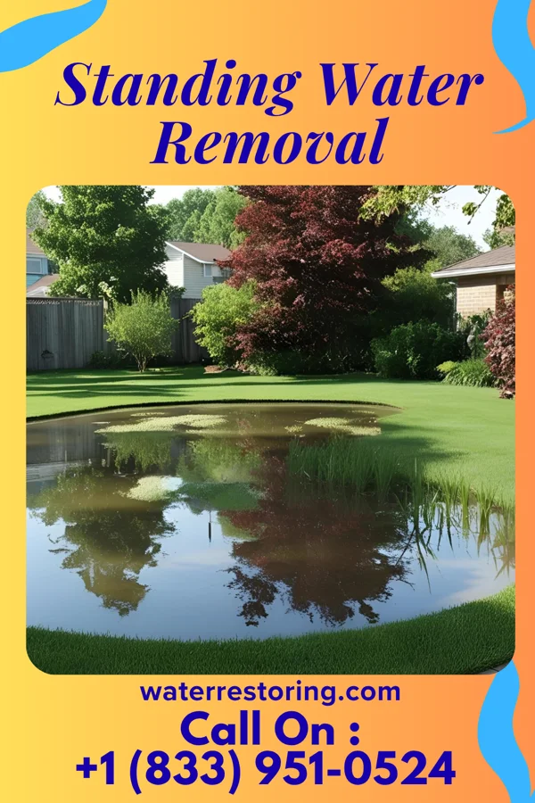 Standing Water Removal in New Market, PA